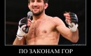 Как русским заставить кавказцев жить по законам России, а не по «законам гор»