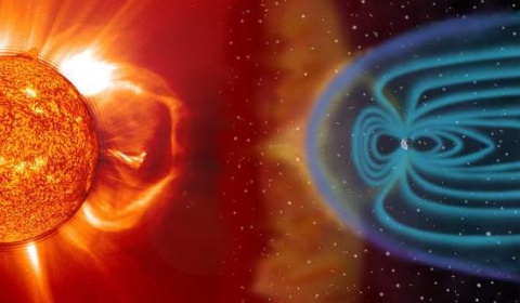 Magnetic sensitivity of living system