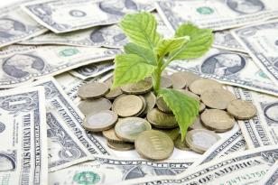 От экологии к мировым политическим проблемам.