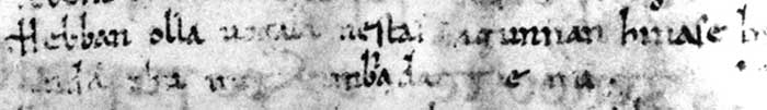 dgg4
