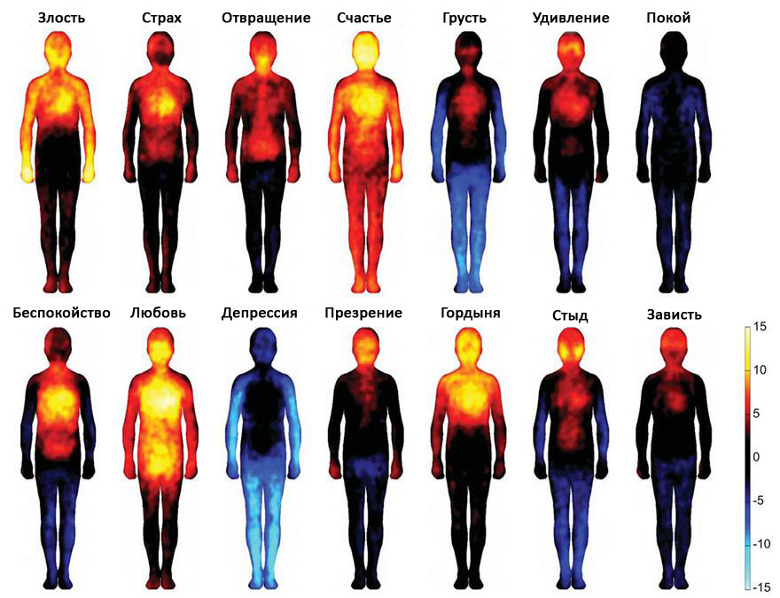 emotii-cheloveka.jpg Ученые составили карту, показывающую, где мы чувствуем эмоции