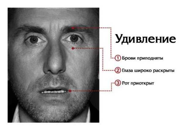 emotii-6.jpg Ученые составили карту, показывающую, где мы чувствуем эмоции