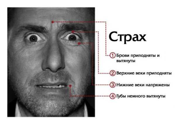 emotii-4.jpg Ученые составили карту, показывающую, где мы чувствуем эмоции