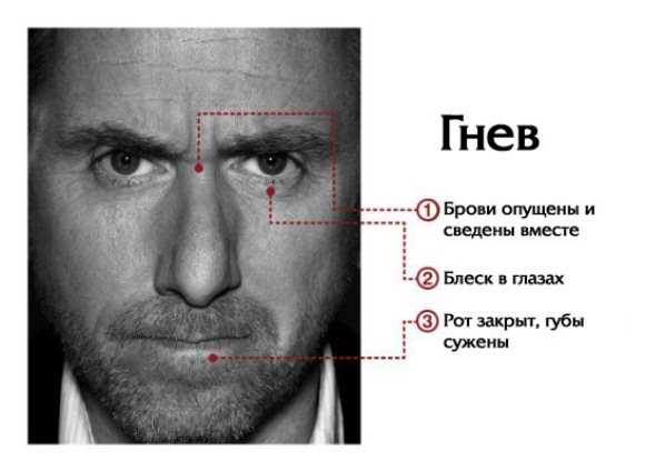 emotii-3.jpg Ученые составили карту, показывающую, где мы чувствуем эмоции