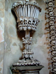 czech scull1 s