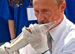 Эпопея Камчатки, или Уничтожение биоресурсов страны