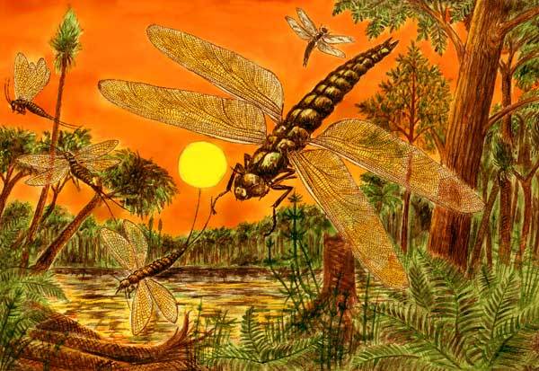 Скатный жемчуг 