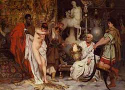 Комфорт и Дикость