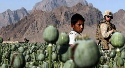 Выращивание героина в Афнагистане  Мы боимся своего прошлого, настоящего и будущего