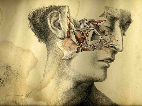 Когда-то весь свод научных знаний мог уместиться в голове одного выдающегося человека, а теперь на одно-единственное исследование может уйти вся жизнь.