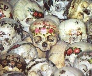 черепа Черепа