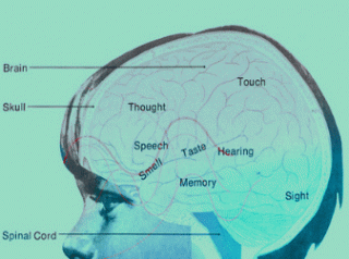 форсайт-проект.png В СМИ началась очередная кампания по «научному обоснованию необходимости сокращения населения»