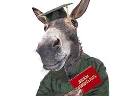 О новом Стандарте: «Богу и Сталину должности не нужны»!