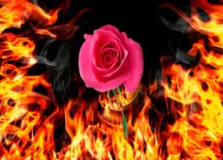 Незаконченные войны России и их влияние на будущее нашей страны