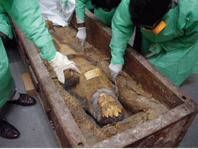 Подделавшие историю