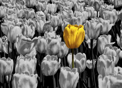 Первая кажущаяся мировоззренческая самоочевидность