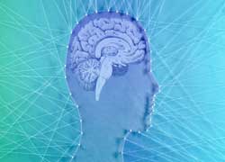 Почему наш мозг цепляется за ложные убеждения