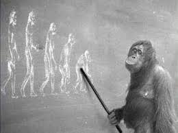 Осторожно, подросток!