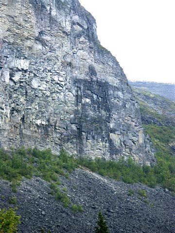 52619417_showDBFile Полярная родина Ариев