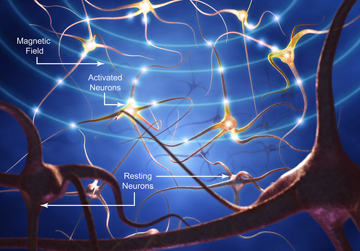 Коллективный разум зависит от численности стаи