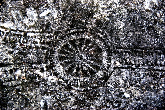 64878_original Русь крестили в 17 веке