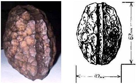 Зальцбургский параллелепипед.