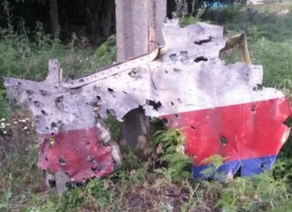США как профессионалы-фокусники