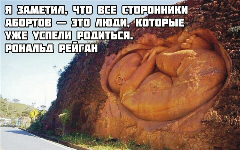 Свежие младенцы, целиком или частями, по сходной цене