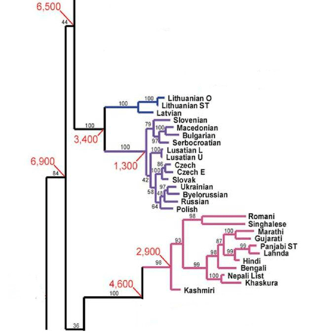 Славяне, русские и их недруги