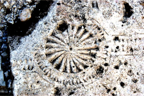 65188_original Серьёзный разговор про рождественскую ёлку, Деда Мороза и Новый Год