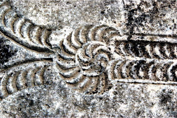 Серьёзный разговор про рождественскую ёлку, Деда Мороза и Новый Год