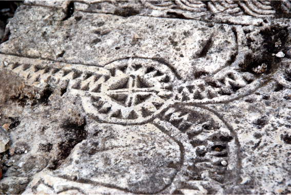 65677_original sror19