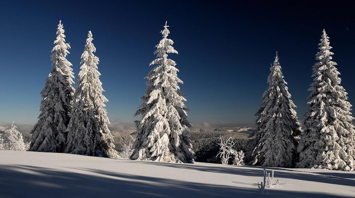 motto.net.ua-24473 Серьёзный разговор про рождественскую ёлку, Деда Мороза и Новый Год.