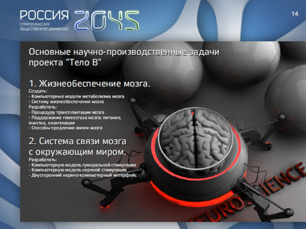 Скрытые смыслы миграции. Кто стоит во главе вторжения