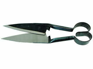 Стрижка овец только начинается