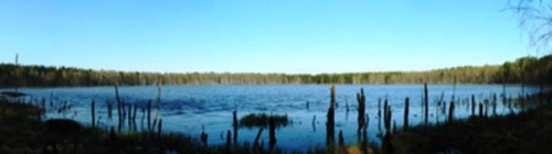 Рис. 20. оз.Мертвое, Пензенский район Пензенской обл.