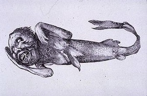 Фиджийская русалка