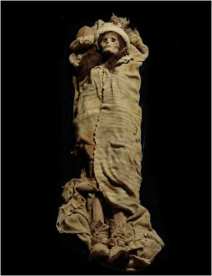 Военно-исторические хохмы