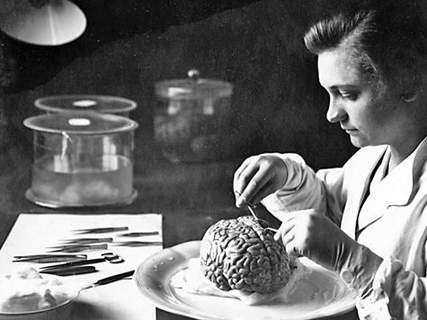 «Зомбоящик» — не миф, а реальность