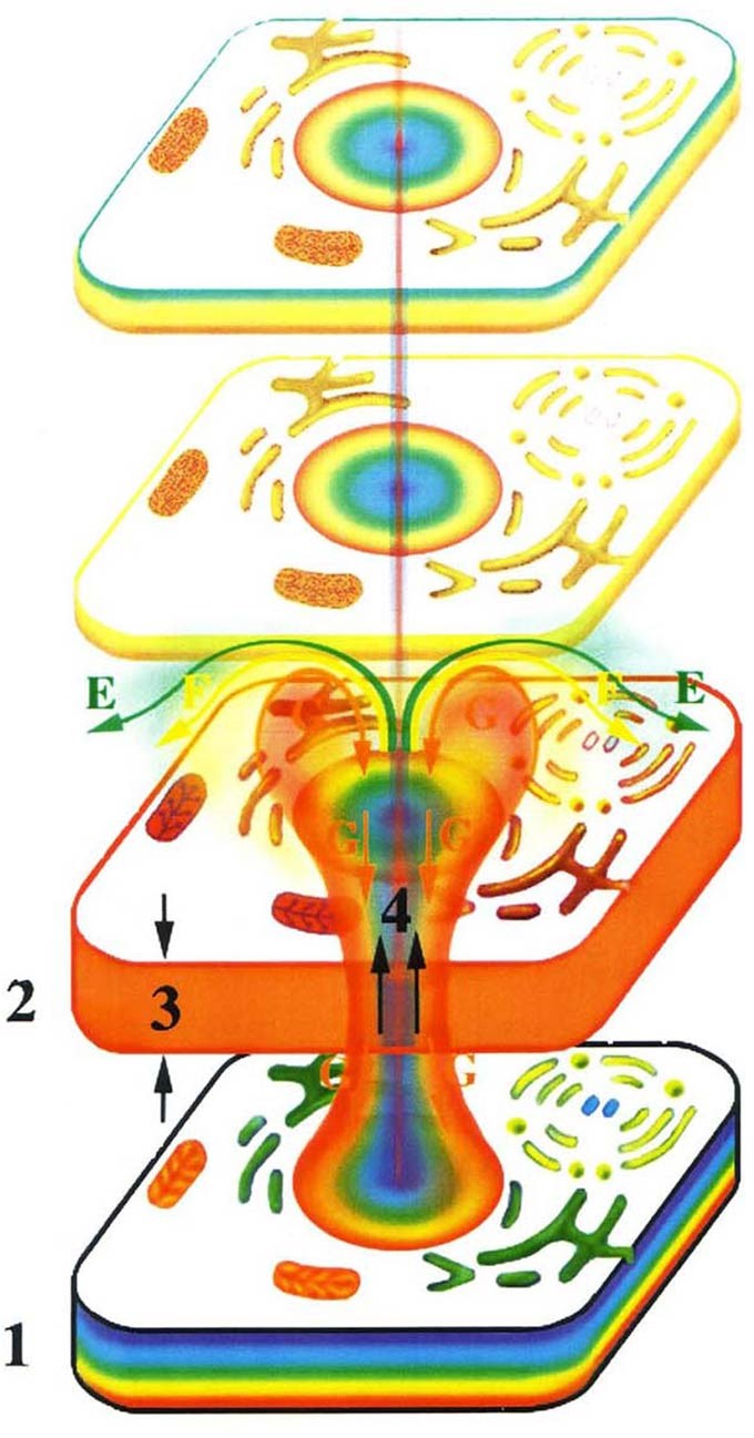 Жизнь после Жизни. Наказание за грехи. Карма