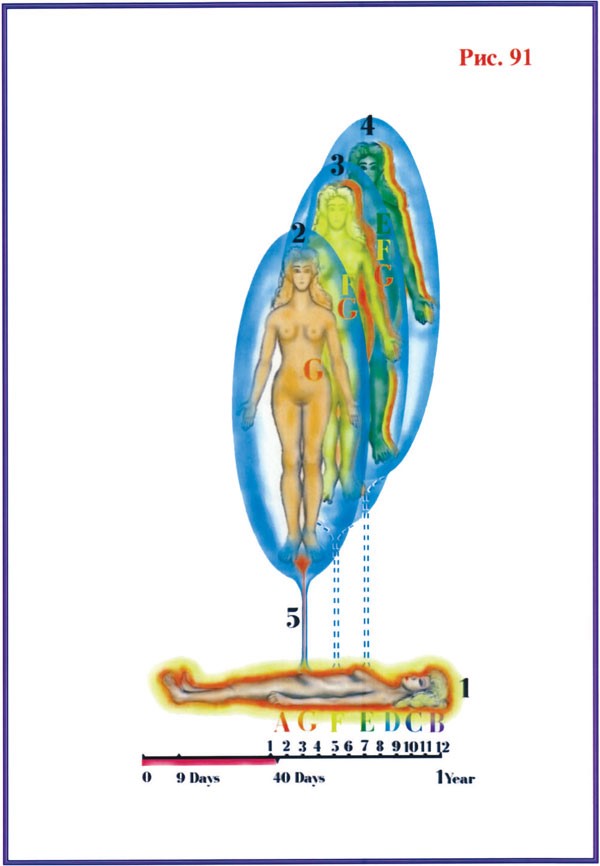 Жизнь после Жизни. Наказание за грехи. Карма