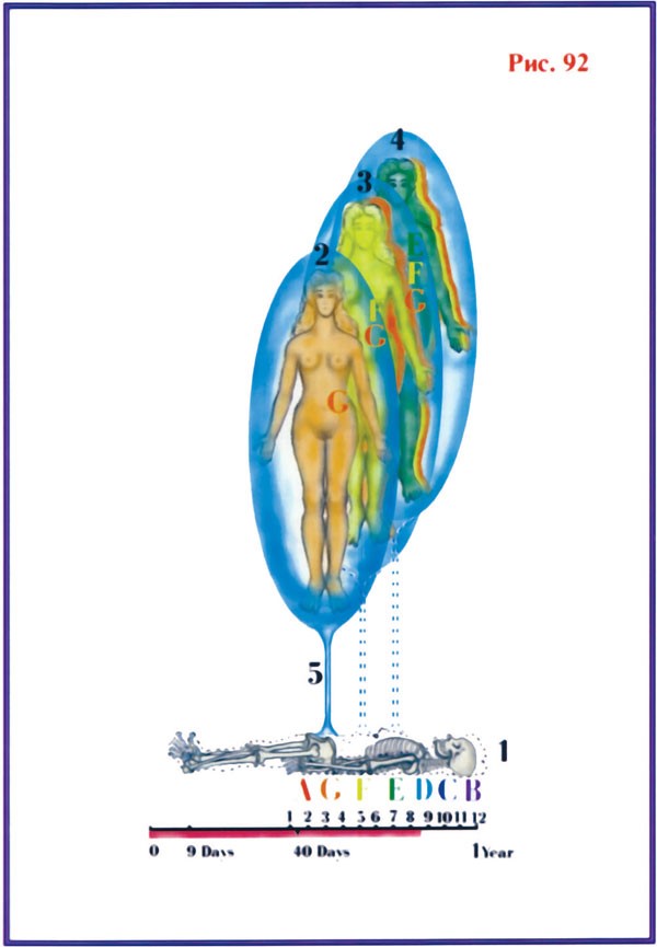 Жизнь после Жизни. Наказание за грехи. Карма
