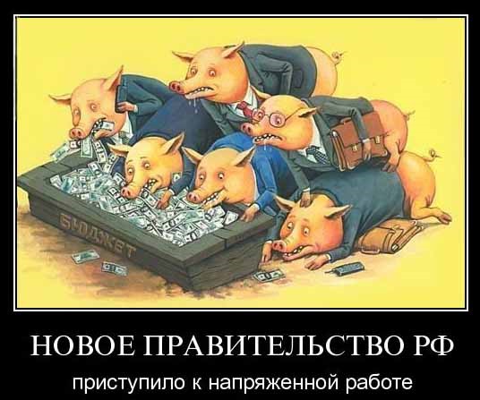 Змеиная сеть. Об Америке словами Джона Каминского